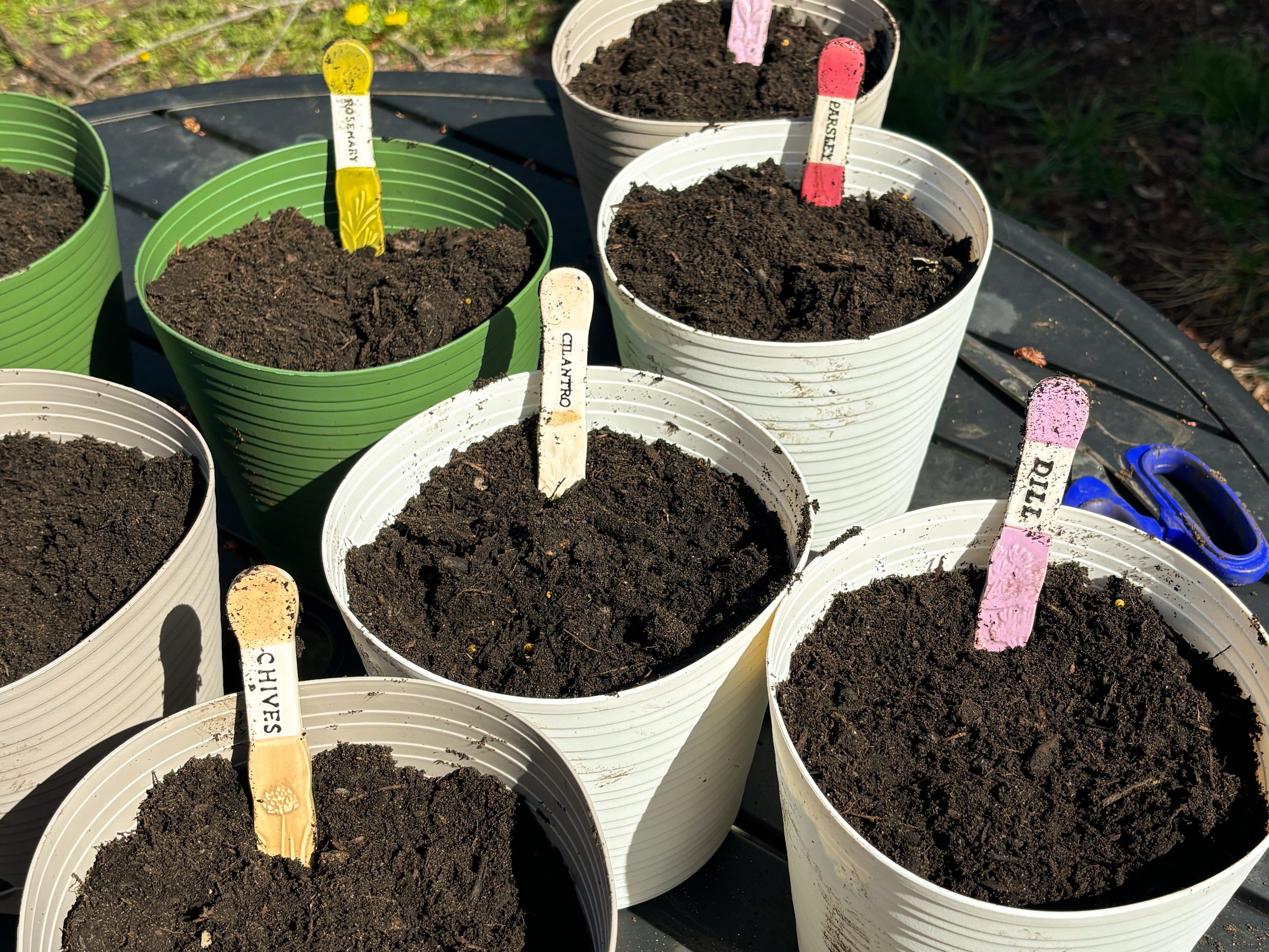Spring Gardening